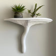 &quot;White 3D printed wall shelf in the shape of an Artist’s Conk mushroom, styled with potted plants and mounted on a light wall.&quot;