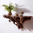 Tree Root Wall Shelf | Floating Shelf for Plants | 3D Printed Organic Wall Decor | Nature Inspired Shelf | Rustic Earthy Home Accent