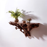 Tree Root Wall Shelf | Floating Shelf for Plants | 3D Printed Organic Wall Decor | Nature Inspired Shelf | Rustic Earthy Home Accent