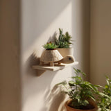 wall shelf for succulents 3D Printed Turtle Planter Shelf | Animal Succulent Holder Display