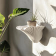 A matte white 3D printed wall shelf inspired by the shape of a mushroom (Artist’s Conk), mounted on a sunlit beige wall with a small potted plant on top.