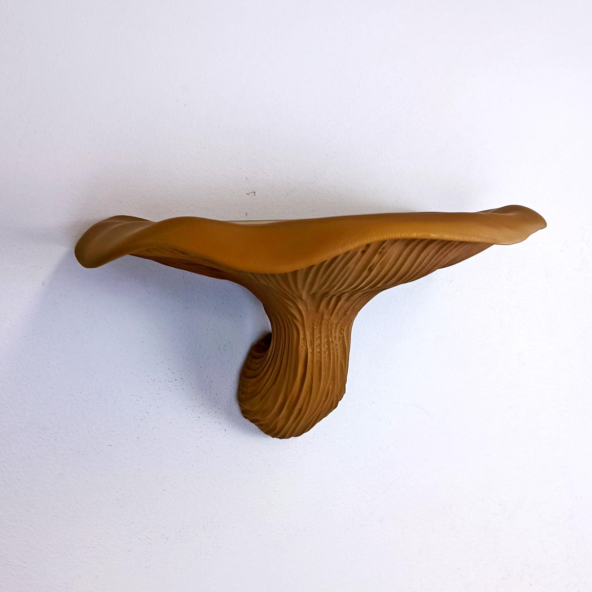Mushroom Floating Wall Shelf | 3D Printed Organic Wall Decor | Nature Inspired Home Accent Modern Wall Mounted Shelf