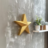 3D Printed Star Wall Decor | Modern Minimalist Geometric Design | Unique 3D Printed Wall Art for Creative Interiors and Contemporary Homes