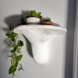 White 3D printed wall shelf inspired by the Artist’s Conk mushroom, with gill-like textured underside and matte finish, styled with small plants.