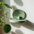 3D printed pastel green wall shelf with a round ledge and fan-textured circular backplate, styled with a tiny frog figure near hanging plants.