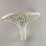 3D Printed Mushroom Shelf | Floating Wall Shelf | Organic Decor Nature Inspired Home Accent