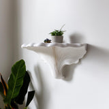 Turkey Tail Mushroom Shelf | Trametes Versicolor Wall Art | Sculptural Floating Shelf | 3D Printed Organic Shelf | Botanical Fungi Decor