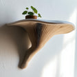 3D printed wall shelf inspired by the Deadly Galerina mushroom, featuring a white top and flowing light brown stem, mounted on a white textured wall with a potted plant on top.