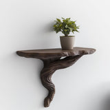 Twisted Root Wall Shelf | Organic Floating Shelf for Plants | 3D Printed Tree Shelf