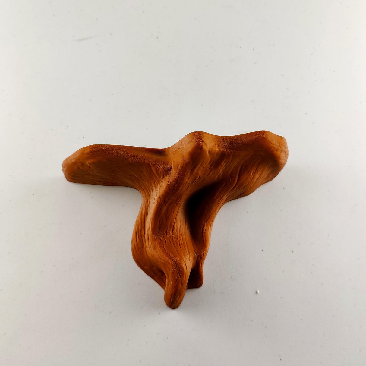 Tree Root Wall Shelf | Organic 3D Printed Shelf | Nature Inspired Floating Ledge | Modern Earthy Home Decor | Plant Display Shelf