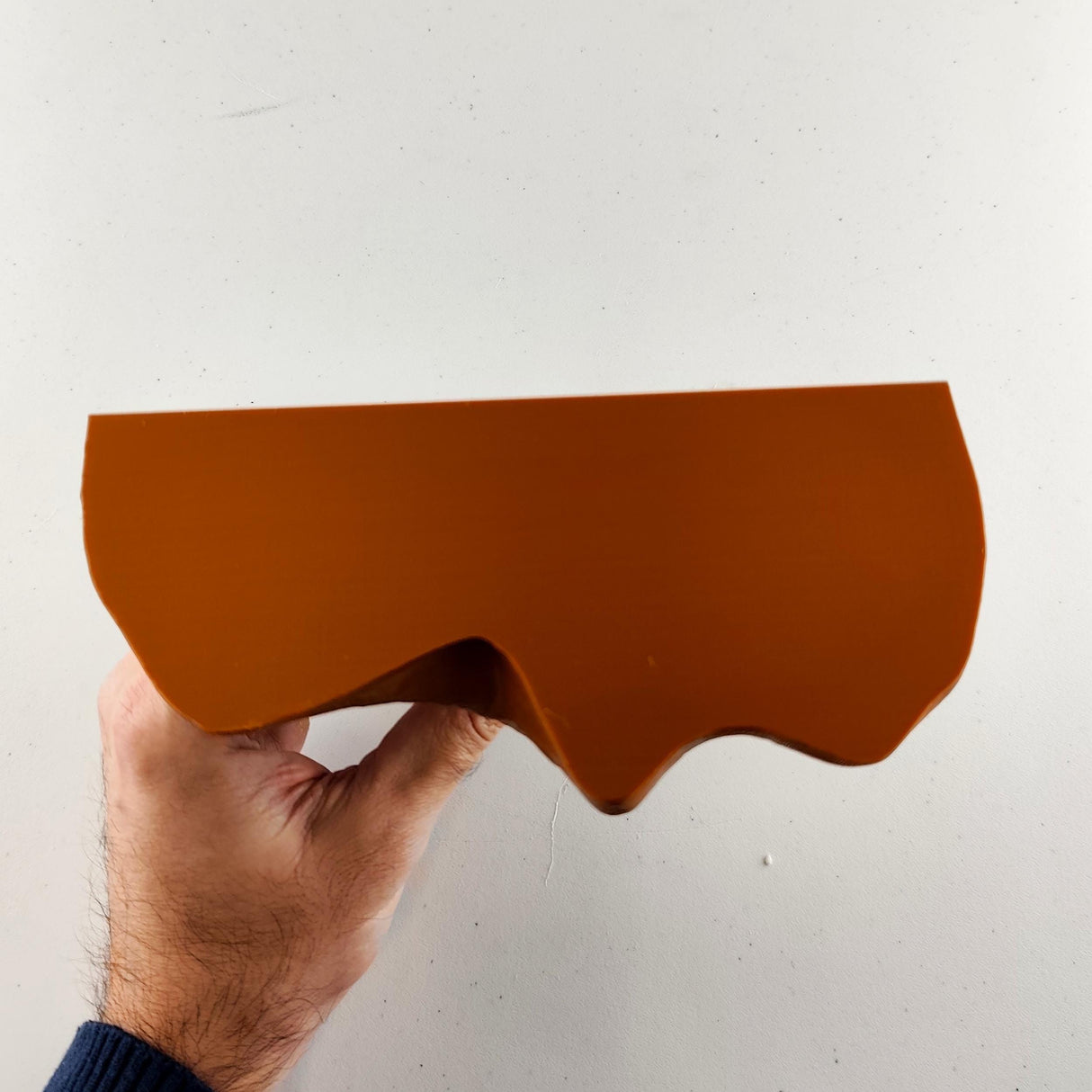 Tree Root Wall Shelf | Organic 3D Printed Shelf | Nature Inspired Floating Ledge | Modern Earthy Home Decor | Plant Display Shelf