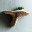 Mushroom Floating Wall Shelf | 3D Printed Organic Wall Decor | Nature Inspired Home Accent Modern Wall Mounted Shelf | Fungi Aesthetic Decor