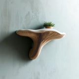 Mushroom Floating Wall Shelf | 3D Printed Organic Wall Decor | Nature Inspired Home Accent Modern Wall Mounted Shelf | Fungi Aesthetic Decor