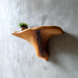 3D Printed Mushroom Shelf | Floating Wall Shelf Organic Wall Decor | Nature Home Accent Modern Wall Mounted Shelf