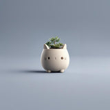 kawaii plant pots 3D Printed Cat Planter Pot | Kawaii Minimal Succulent Holder
