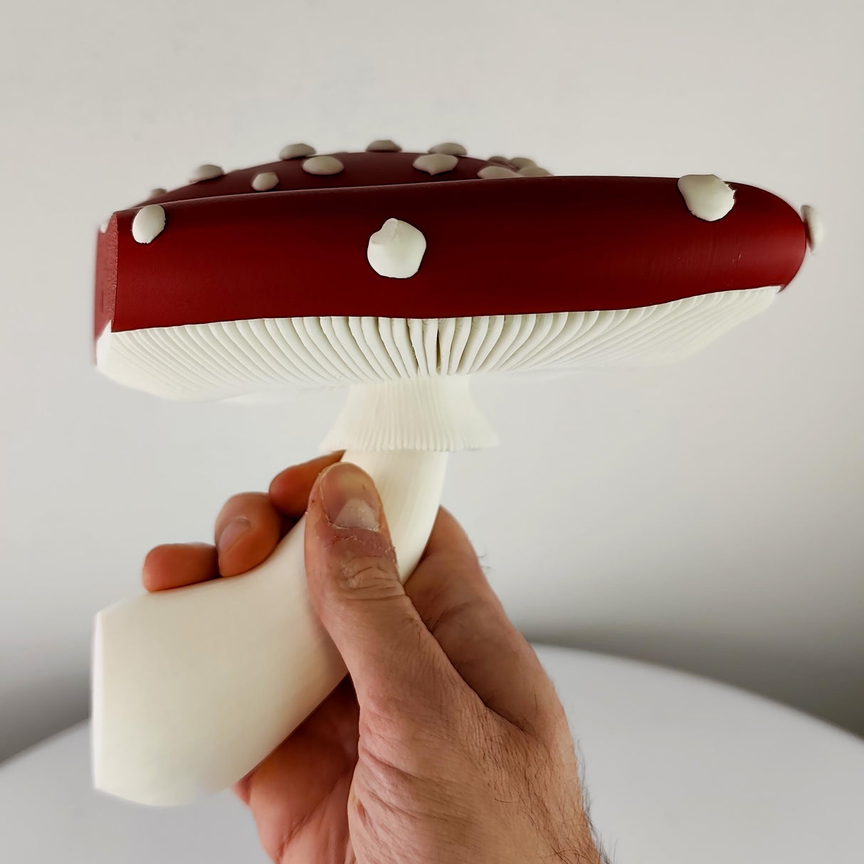 3D Printed Mushroom Wall Shelf | Amanita Toadstool Floating Ledge | Whimsical 3D Printed Wall Decor for Cozy Fantasy Inspired Interiors