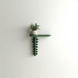 3D Printed Organic Wall Shelf | Sculptural Floating Ledge with Growth Form | Modern Biophilic Decor for Minimalist and Artistic Interiors