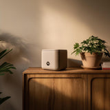 3D Printed Modern Square Pet Cremation Urn with Paw Print | Minimalist 3D Printed Memorial Box for Pets | Neutral Remembrance Home Decor