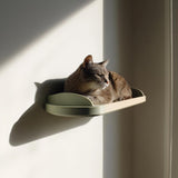 Wall Mounted Cat Shelf Bed | 3D Printed Minimalist Wall Perch for Cats | Modern Floating Cat Furniture Shelf for Rest and Relaxation