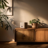 3D Printed Modern Square Pet Cremation Urn with Paw Print | Minimalist 3D Printed Memorial Box for Pets | Neutral Remembrance Home Decor