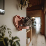 Heart Wall Mounted Pet Bowl Holder | 3D Printed Raised Feeder Frame for Cat or Small Dog | Cute Feeding Station Home Decor Wall Feeder Stand