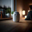 Alternate product view of Moon Crater Memorial Urn.