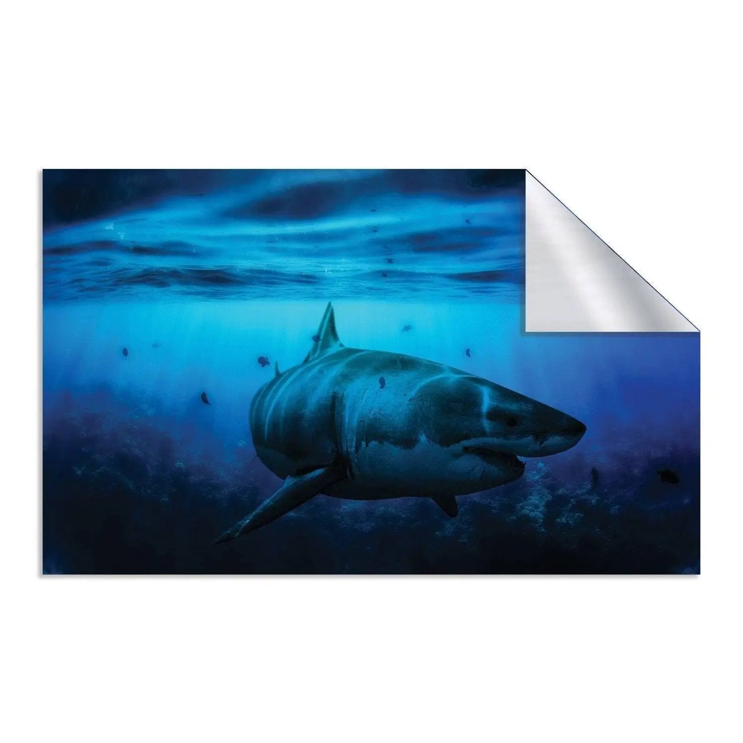 Ocean Shark Wallpaper Art Decal - Thumbnail 2