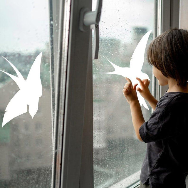 Window Covering Bird Protection FeatherGuard Bird Protection Window Decals – Decords