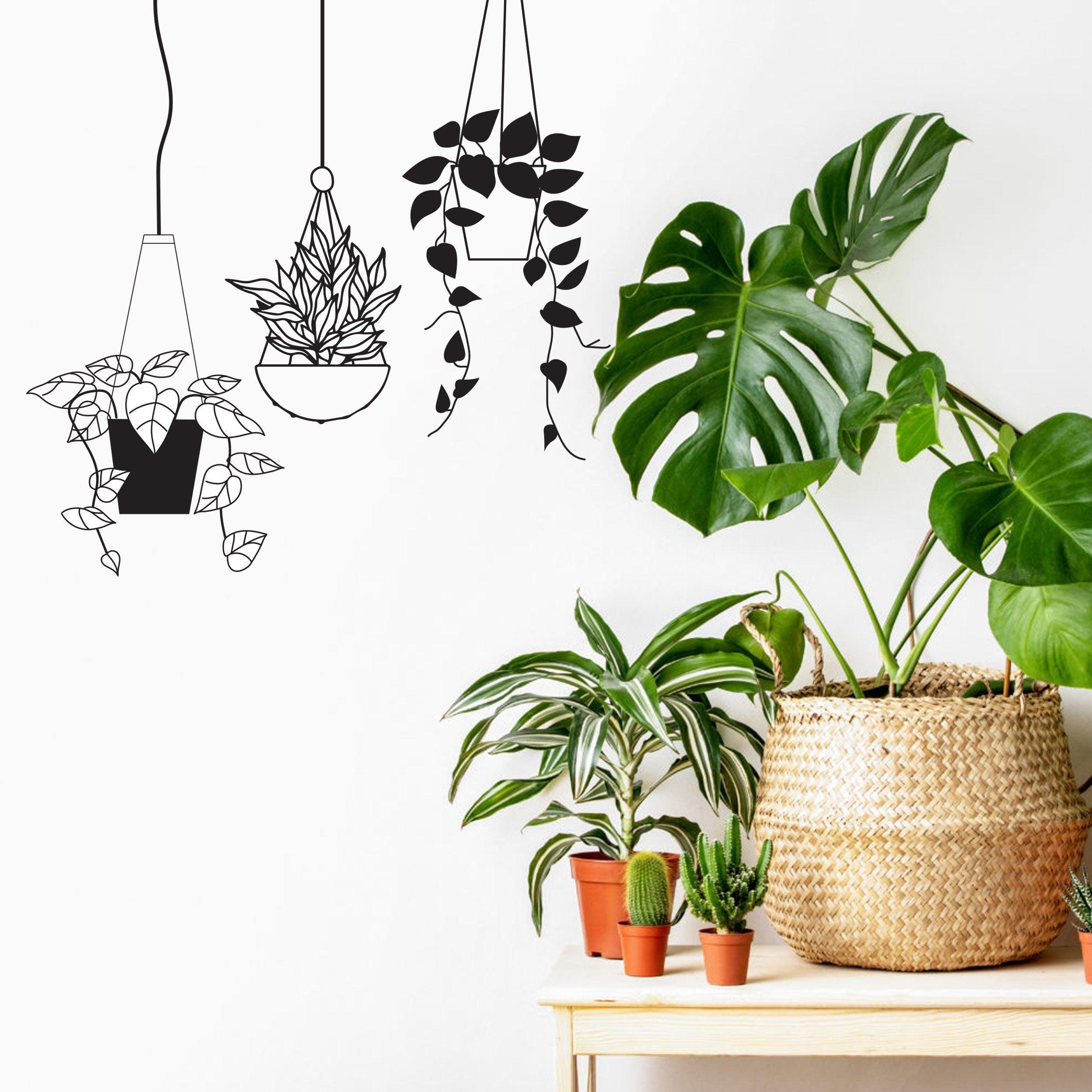 Hanging Plant Basket Wall Sticker - Thumbnail 3