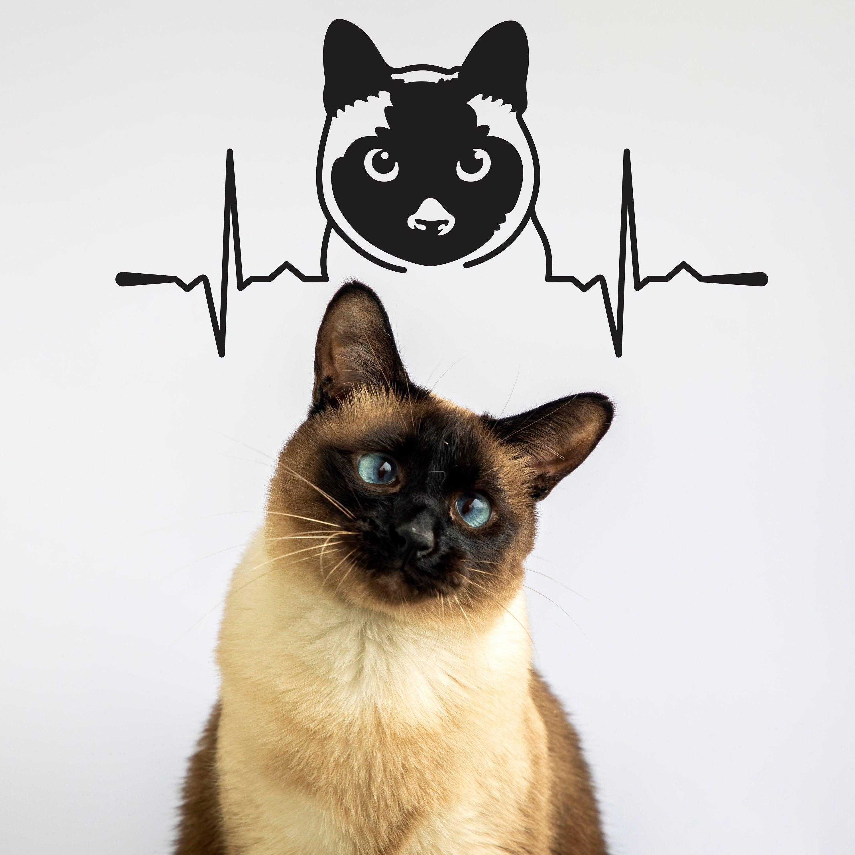 Siamese Cat Wall Sticker - Thumbnail 3